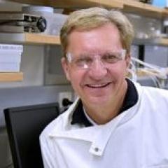 Professor Matt Trau from UQ’s AIBN has been awarded an ARC Laureate Fellowship